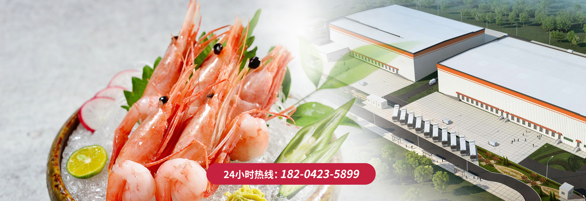 24-hour business consultation call, on-site technical guidance, 48 hours, life-long after-sales service, 360 ° no dead space